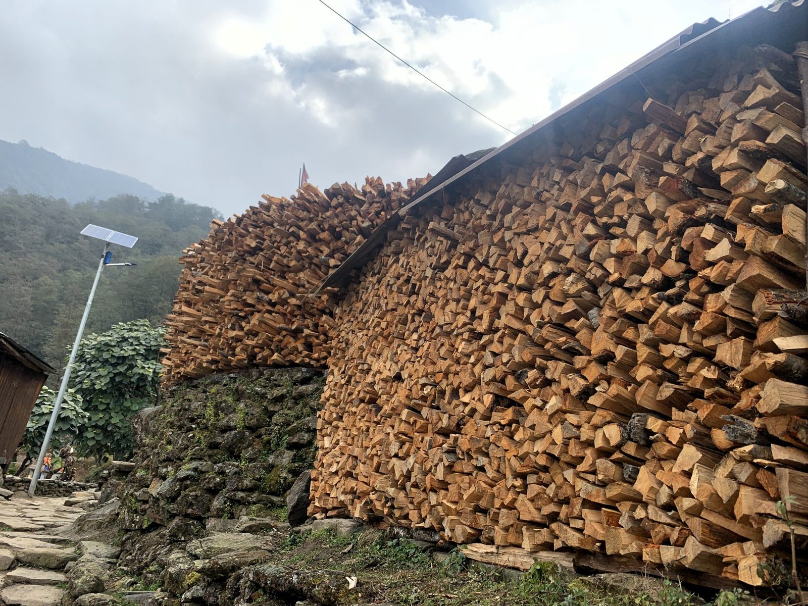 Stère de bûches de bois de chauffage